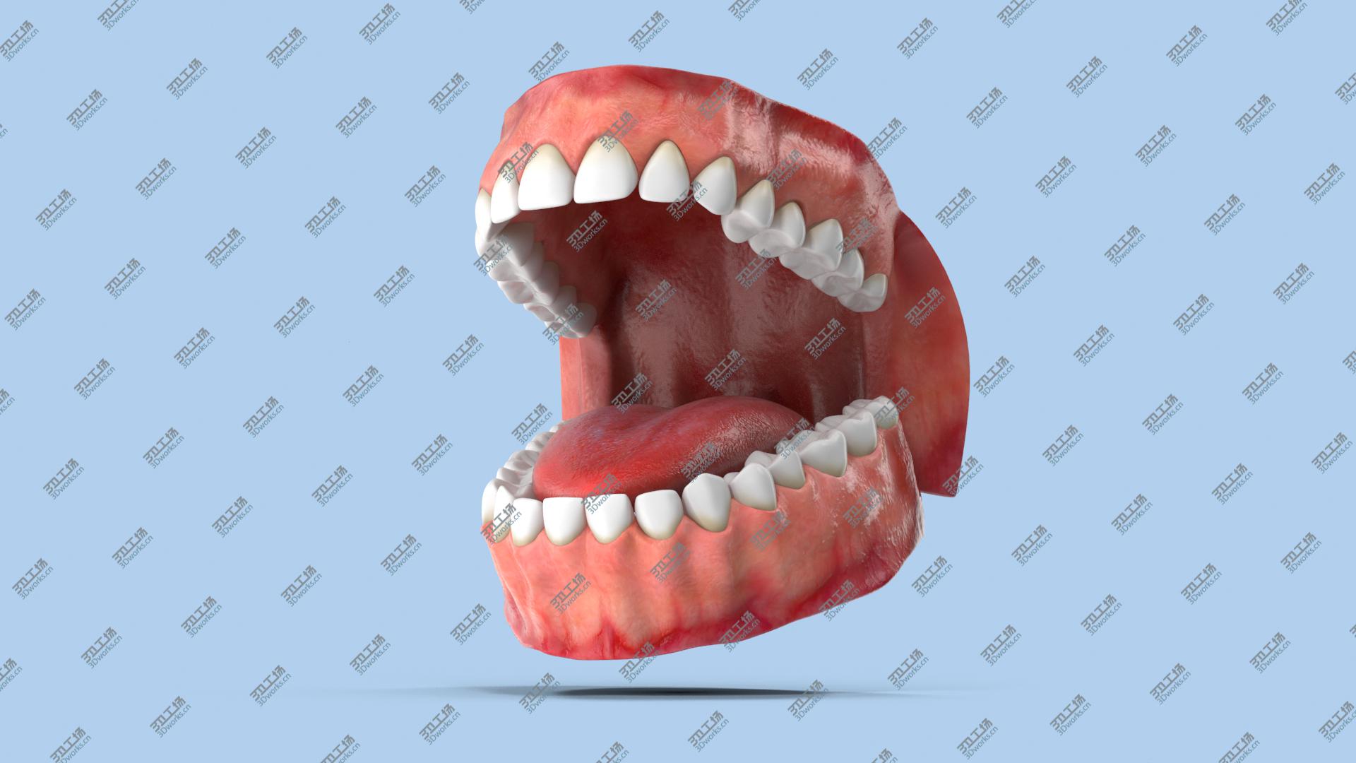 images/goods_img/20210313/Teeth and Gums/5.jpg